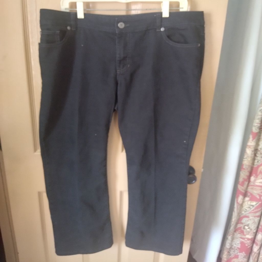 NWOT Plus Size Ladies Pants